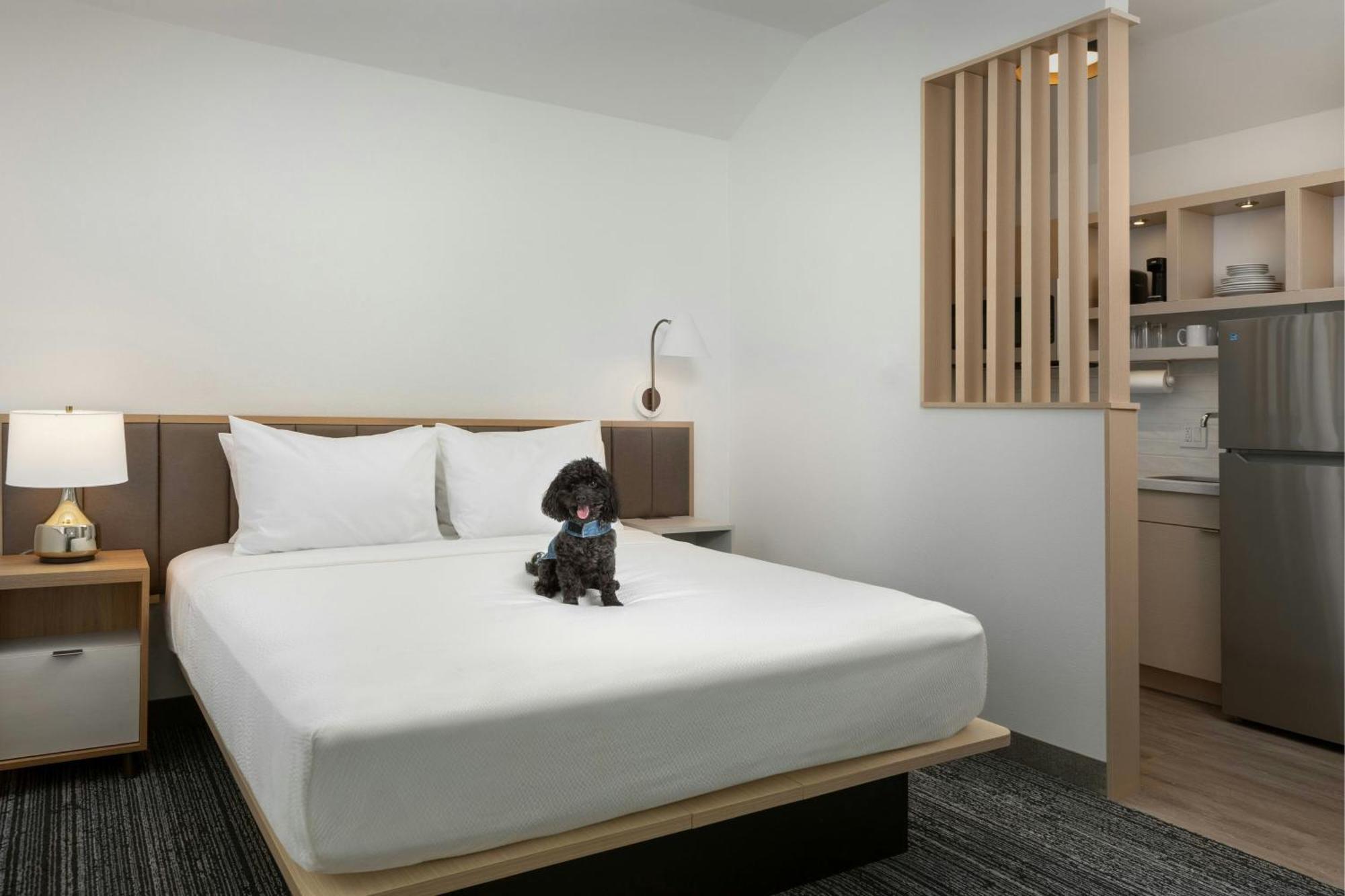 Towneplace By Marriott Hotel